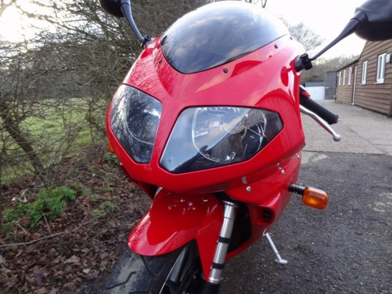 2004 Triumph Daytona 955i image 5