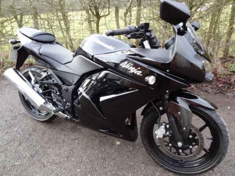 2009 Kawasaki Ninja 250R image 1