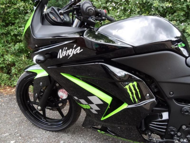 2010 Kawasaki Ninja 250R image 8