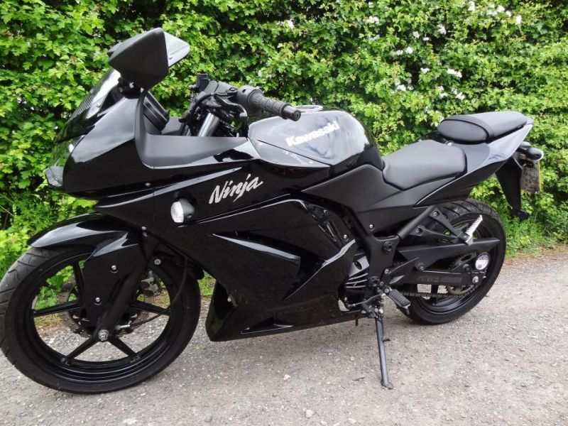 2010 Kawasaki Ninja 250R image 1