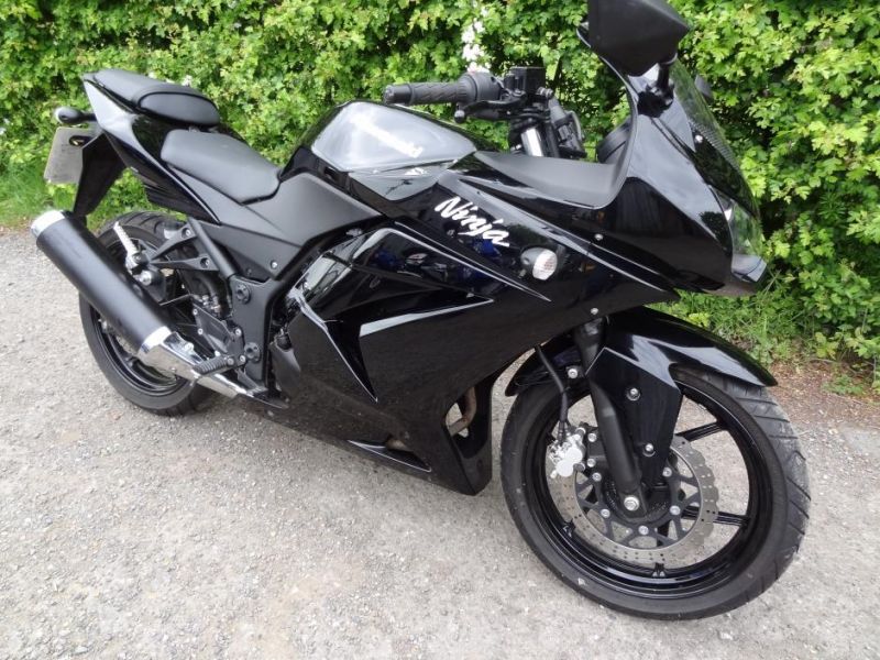 2010 Kawasaki Ninja 250R image 7