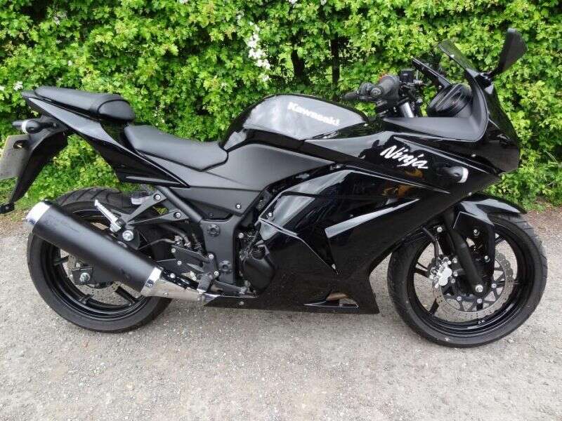 2010 Kawasaki Ninja 250R image 8