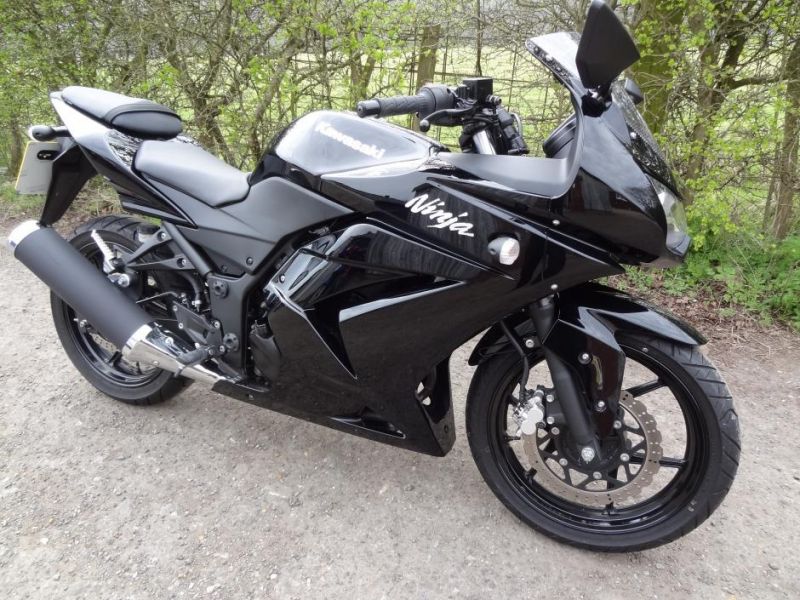 2010 Kawasaki Ninja 250R image 2