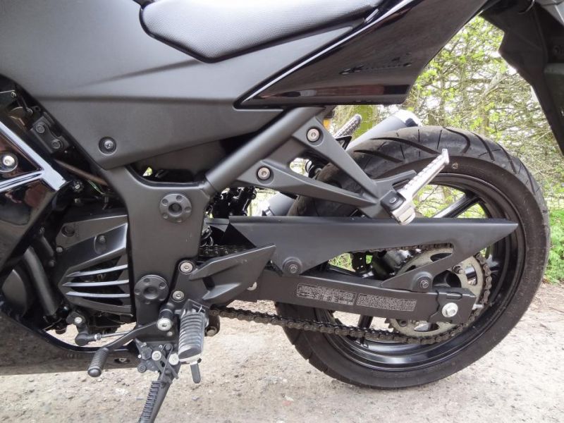 2010 Kawasaki Ninja 250R image 6