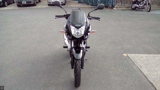 2013 Honda CBF125 image 3