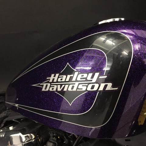 2014 Harley-Davidson Sportster 72 image 6