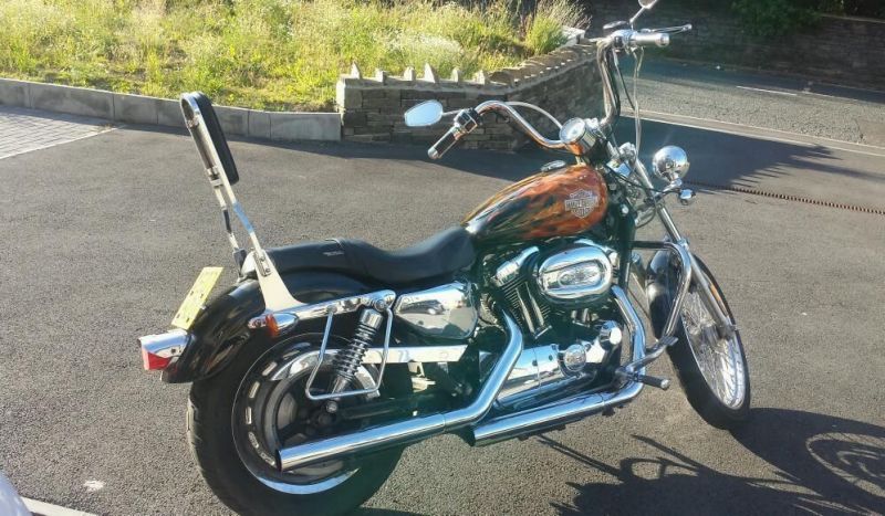 2007 Harley davidson sportster custom image 1