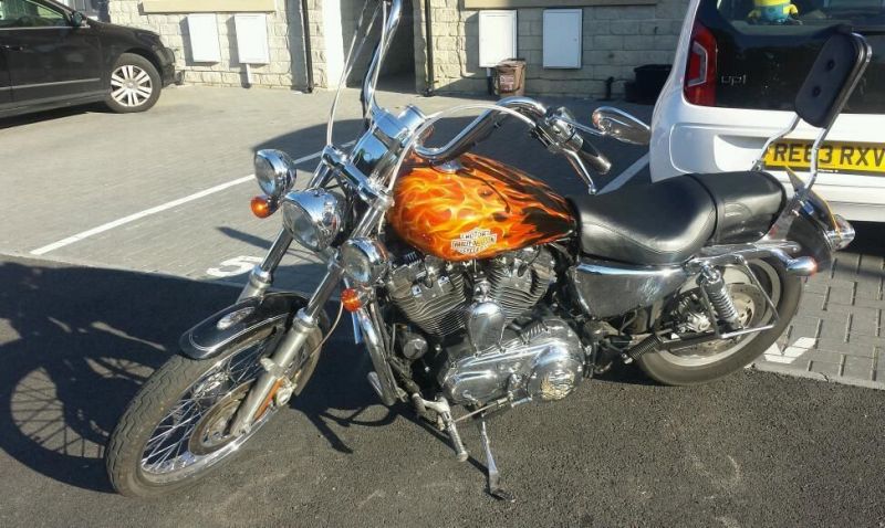 2007 Harley davidson sportster custom image 2