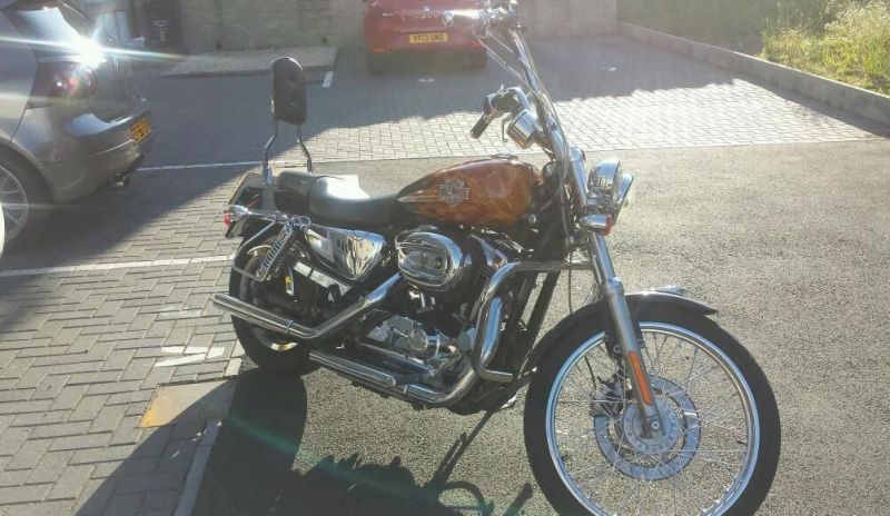 2007 Harley davidson sportster custom image 3