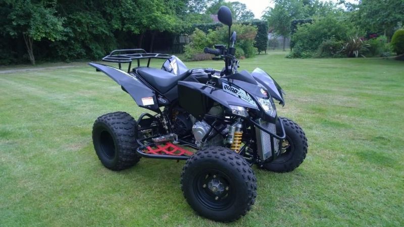 2014 Quadzilla 300 lv image 1