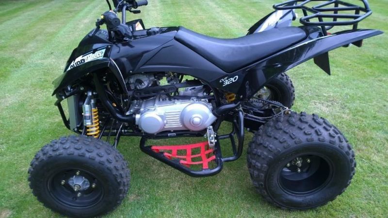 2014 Quadzilla 300 lv image 5