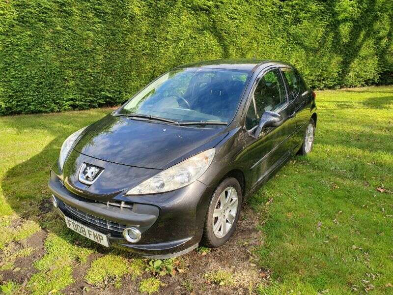 2008 Peugeot 207 Sport image 1