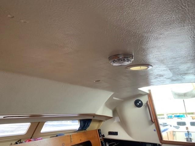 1980 Maxi 84 image 15