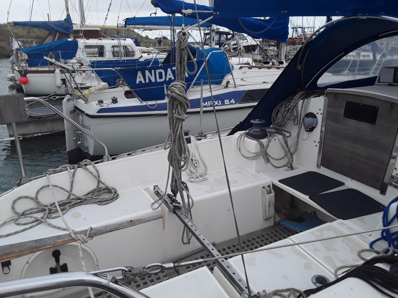 1981 Sigma 33 image 19