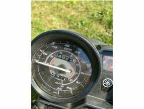 2013 Yamaha YBR 124 (cc)