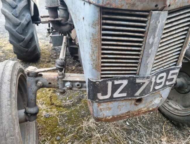 Massey Ferguson Vintage