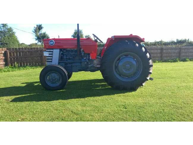 Massey Ferguson 165 Tractor