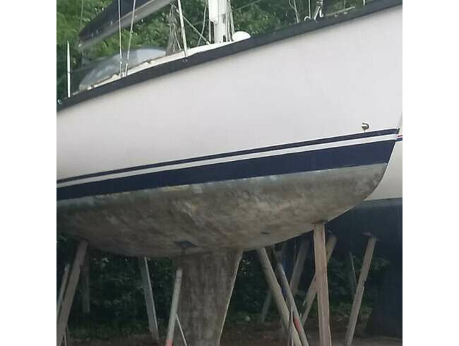 Sail Boat Dufour 3800