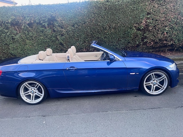 2010 BMW 3 Series Blue