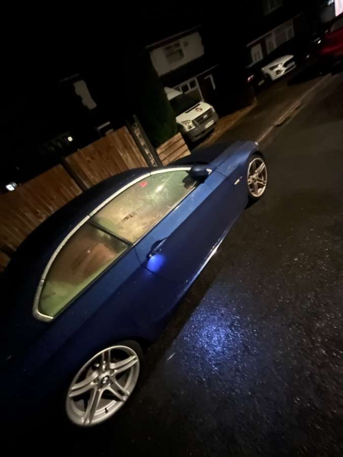 2010 BMW 3 Series Blue