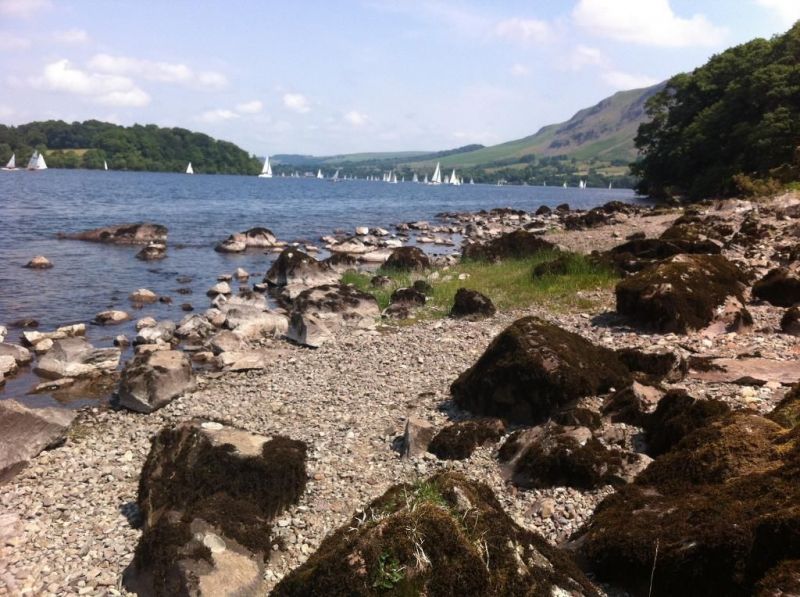 1998 Avondale Dart 380/2 Super cheap ! + awning image 5