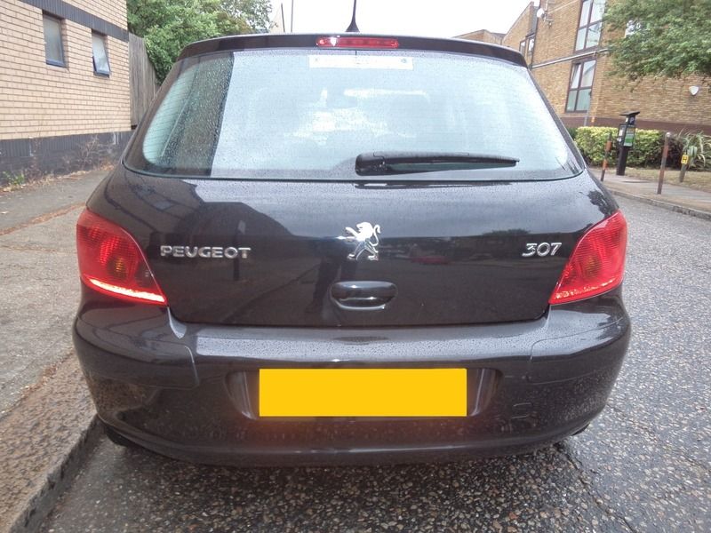 2005 Peugeot 307 SE image 5