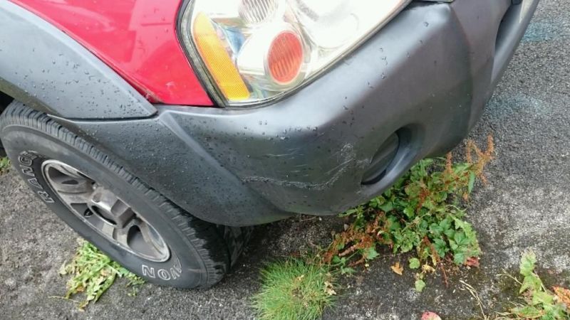 2004 Nissan Navara crew cab diesel image 2