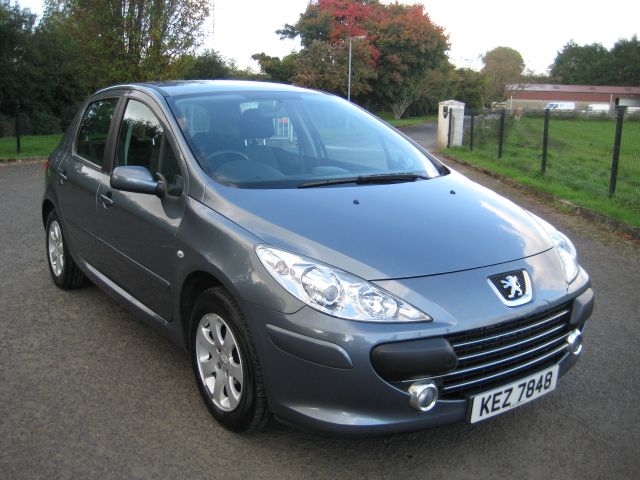2006 PEUGEOT 307 1.4 S image 1