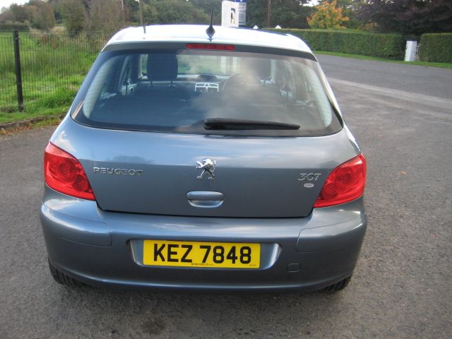 2006 PEUGEOT 307 1.4 S image 3