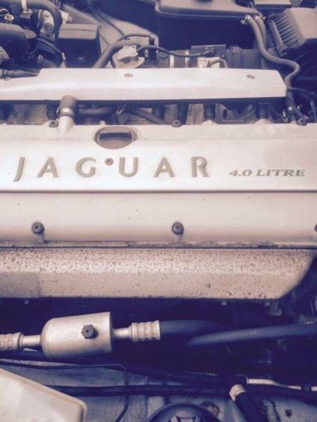 1996 Jaguar xj6 4.0 sport image 2