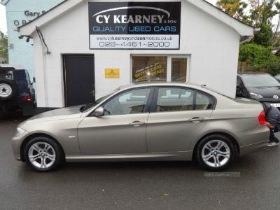 2010 BMW 3 Series ES image 2