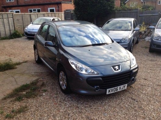 2006 Peugeot 307 1.6 HDi 90 S 5dr image 1