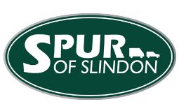 Spur of Slindon