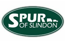 Spur of Slindon
