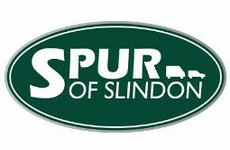 Spur of Slindon